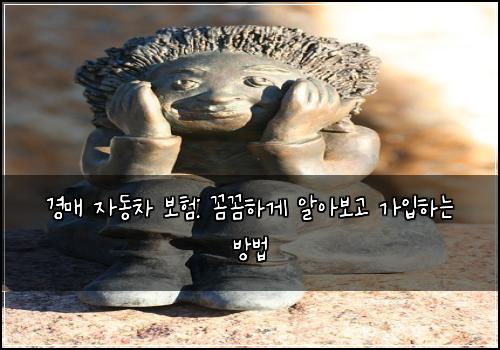 경매 자동차 보험: 꼼꼼하게 알아보고 가입하는 방법