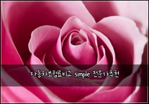 ์๋์ฐจ๋ณดํ๋ฃ๋น๊ต simple ์ ๋ฌธ๊ฐ์ถ์ฒ