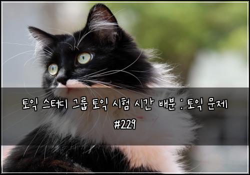 토익 스터디 그룹 토익 시험 시간 배분 : 토익 문제 #229