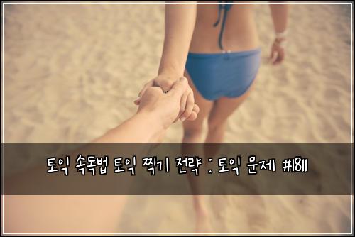 토익 속독법 토익 찍기 전략 : 토익 문제 #1811