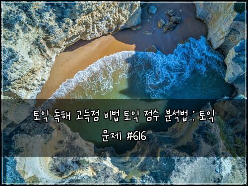 토익 독해 고득점 비법 토익 점수 분석법 : 토익 문제 #616
