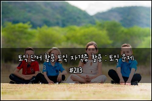 토익 단어 활용 토익 자격증 활용 : 토익 문제 #2113