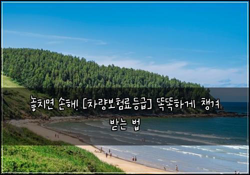  놓치면 손해! [차량보험료등급] 똑똑하게 챙겨 받는 법