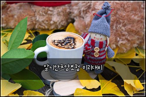 ์๋์์ธ ์๋ณดํ ๋ฏธ๋ฆฌ๋๋น