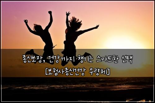 종신보장, 건강까지 챙기는 스마트한 선택 [보험사종신건강 우량체]