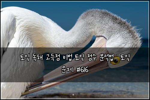 토익 독해 고득점 비법 토익 점수 분석법 : 토익 문제 #616