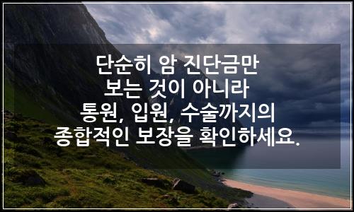 오늘의 이미지