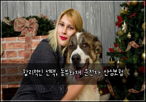  합리적인 선택, 동부화재 운전자 안심보험