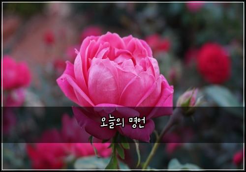 오늘의 명언