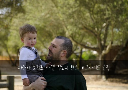 자동차 보험료 아낄 절호의 찬스, 비교사이트 클릭!