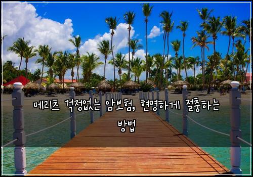 메리츠 걱정없는 암보험, 현명하게 절충하는 방법