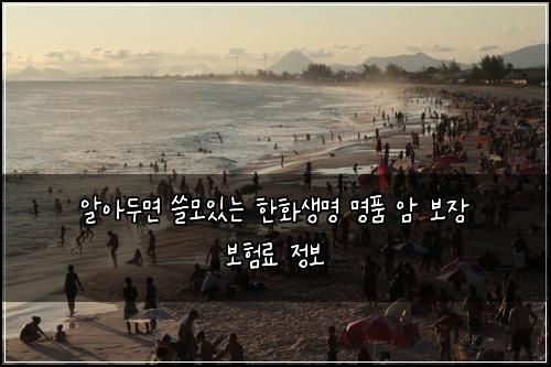  알아두면 쓸모있는 한화생명 명품 암 보장 보험료 정보