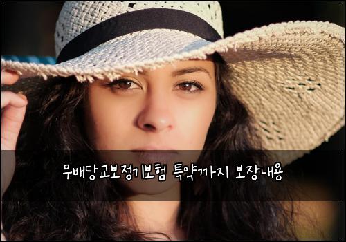 ๋ฌด๋ฐฐ๋น๊ต๋ณด์ ๊ธฐ๋ณดํ ํน์ฝ๊น์ง ๋ณด์ฅ๋ด์ฉ
