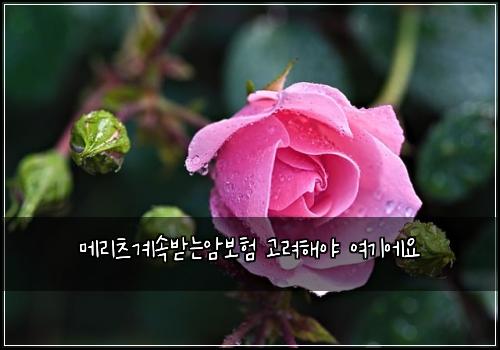 ๋ฉ๋ฆฌ์ธ ๊ณ์๋ฐ๋์๋ณดํ ๊ณ ๋ คํด์ผ ์ฌ๊ธฐ์์