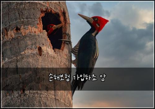 ์ํด๋ณดํ ๊ฐ์
ํ์ฃ ์