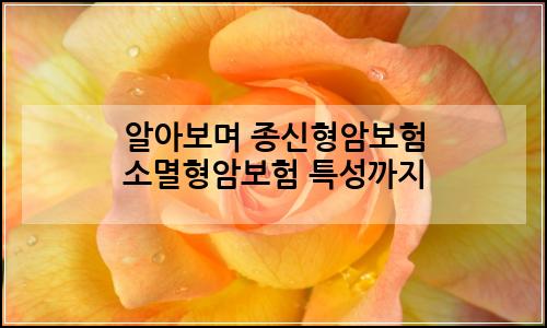 오늘의 이미지