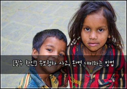  [필수 확인] 무보험차 사고, 완벽 대비하는 방법