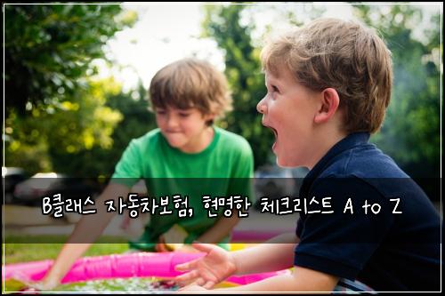 B클래스 자동차보험, 현명한 체크리스트 A to Z
