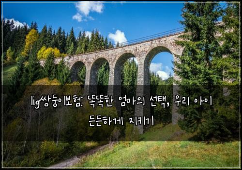 lig쌍둥이보험: 똑똑한 엄마의 선택, 우리 아이 든든하게 지키기