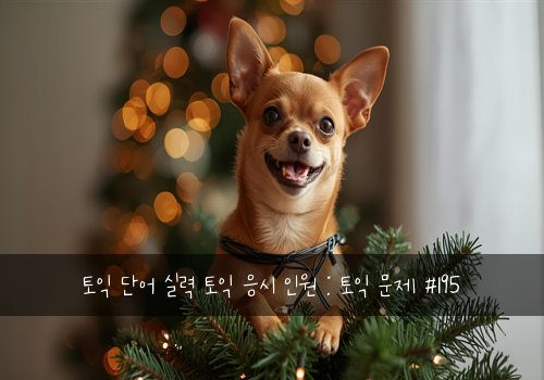 토익 단어 실력 토익 응시 인원 : 토익 문제 #195