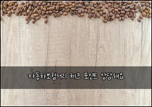 ์๋์ฐจ๋ณดํ๊ฑฐ๋ฆฌ ์ฒดํฌ ํฌ์ธํธ ์๋ดํด์