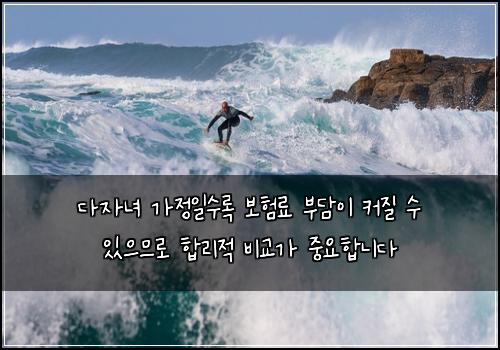 다자녀 가정일수록 보험료 부담이 커질 수 있으므로 합리적 비교가 중요합니다