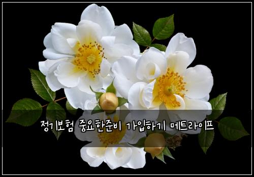 ์ ๊ธฐ๋ณดํ ์ค์ํ์ค๋น ๊ฐ์
ํ๊ธฐ ๋ฉํธ๋ผ์ดํ