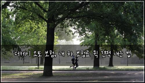 더케이 오토 보험, 내 차 보험료 퀵 견적 내는 법