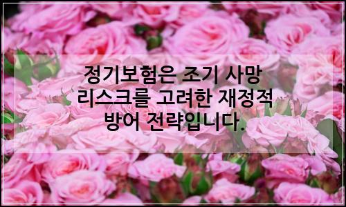 오늘의 이미지