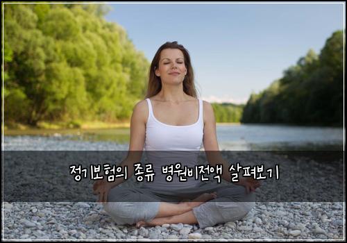 정기보험의 종류 병원비전액 살펴보기
