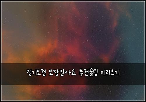정기보험 보장받아요  추천꿀팁 미리보기