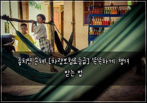  놓치면 손해! [차량보험료등급] 똑똑하게 챙겨 받는 법