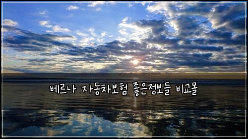 ๋ฒ ๋ฅด๋ ์๋์ฐจ๋ณดํ ์ข์์ ๋ณด๋ค ๋น๊ต๋ชฐ
