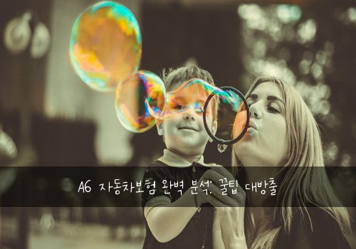 A6 자동차보험 완벽 분석: 꿀팁 대방출