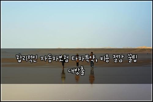  합리적인 자동차보험 타차특약, 비용 절감 꿀팁 대방출