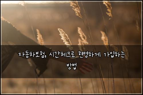 자동차보험, 시간체크로 현명하게 가입하는 방법