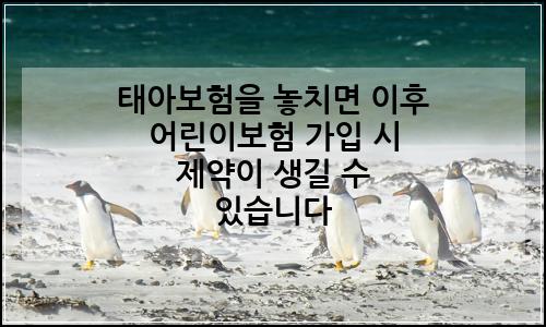 오늘의 이미지