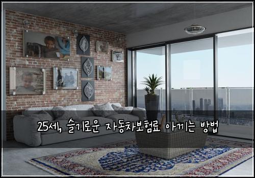 25세, 슬기로운 자동차보험료 아끼는 방법