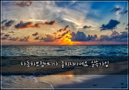 ์๋์ฐจ๋ณดํ์ด๋๊ฐ ๋์น์ง๋ง์ธ์ ์ค์๊ฐ์