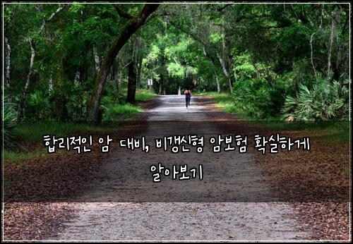  합리적인 암 대비, 비갱신형 암보험 확실하게 알아보기