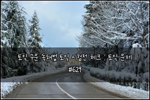 토익 구문 독해법 토익 시험전 체크 : 토익 문제 #629