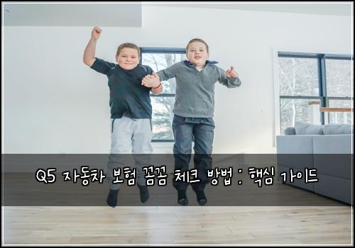 Q5 자동차 보험 꼼꼼 체크 방법 : 핵심 가이드