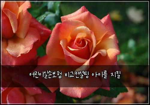 ์ด๋ฆฐ์ด์ค์๋ณดํ ๋น๊ต์ปจ์คํ
์์ด๋ฅผ ์งํฌ