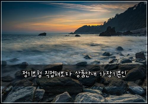 정기보험 직접해보자  상품안내 가장기본인