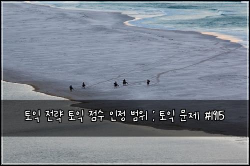 토익 전략 토익 점수 인정 범위 : 토익 문제 #1915