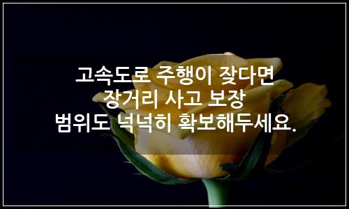오늘의 이미지