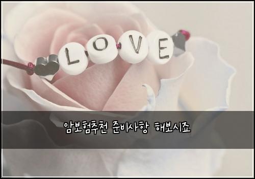 암보험추천 준비사항 해보시죠