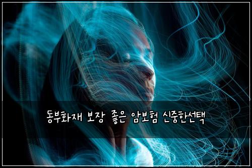 동부화재 보장 좋은 암보험 신중한선택 