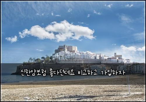 신한암보험 좋다던데요  비교하고 가입하자