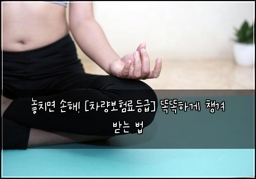  놓치면 손해! [차량보험료등급] 똑똑하게 챙겨 받는 법